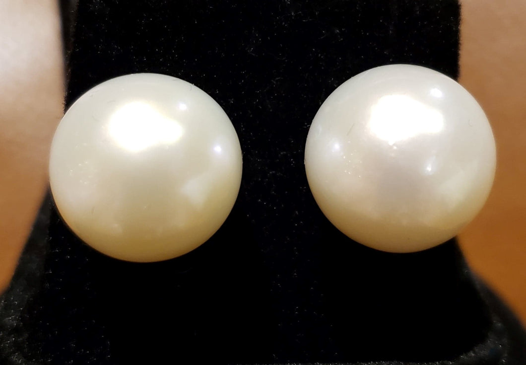 Very Rare Large 15.5-16mm White, Round and Clean South Sea Pearl Earrings in 14kt White Gold.